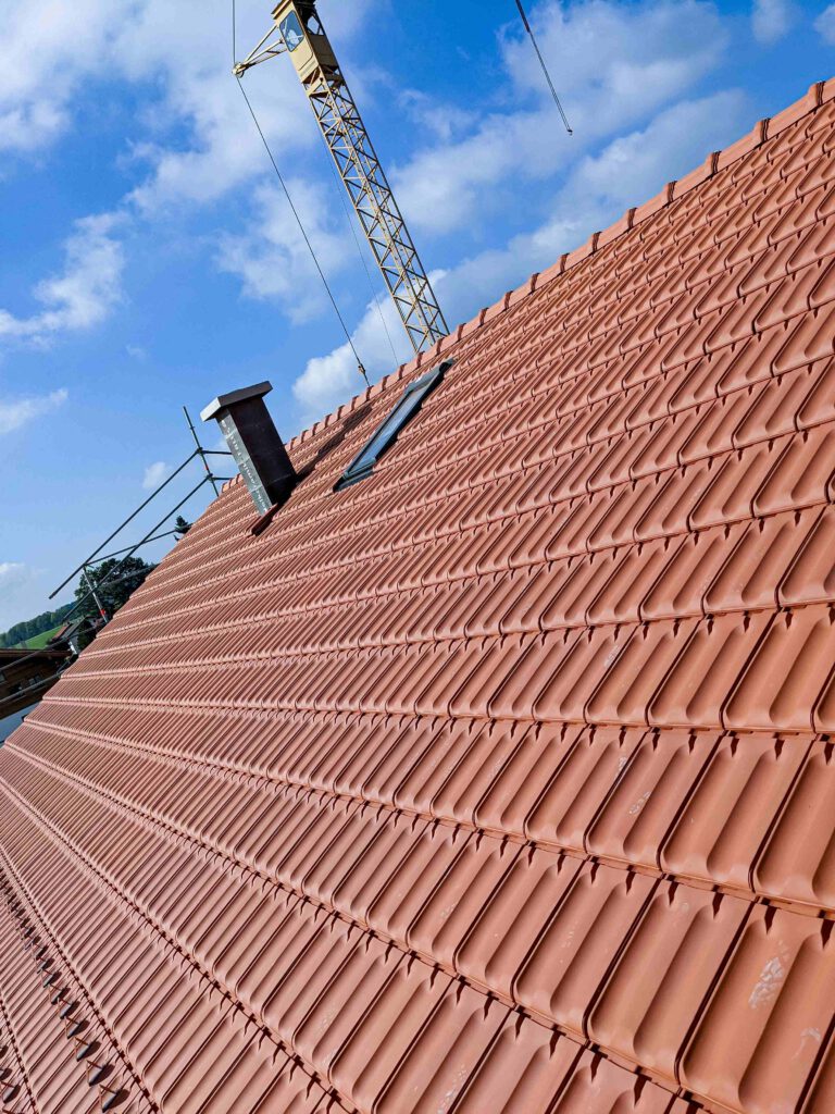 Dachstuhl Darching (4)